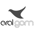 ارال-گام